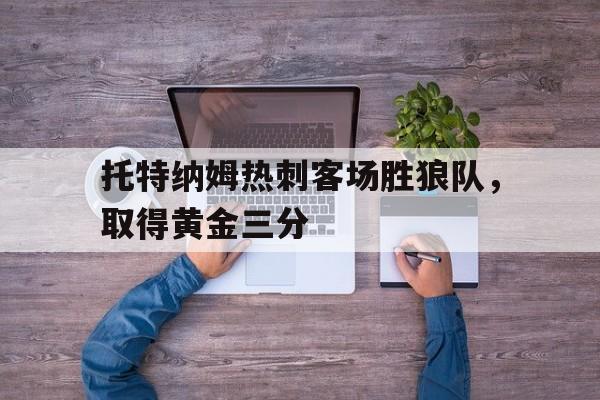 托特纳姆热刺队官网