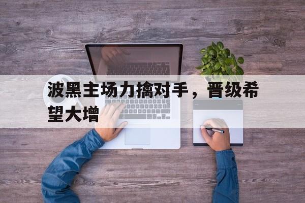 C7娱乐app-波黑主场力擒对手，晋级希望大增(2025年一季度业绩预告大增上市公司)